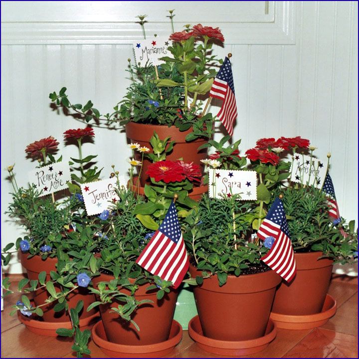 patriotic_pots.jpg (214404 bytes)