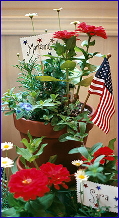 patriotic_pots_2.jpg (75643 bytes)