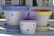 just_pots/annemarie_2.jpg (86390 bytes)