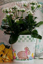 bunny_pail_th.jpg (86390 bytes)