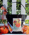 halloween_pail.jpg (122249 bytes)