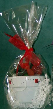 ladybugjbean.jpg (39302 bytes)